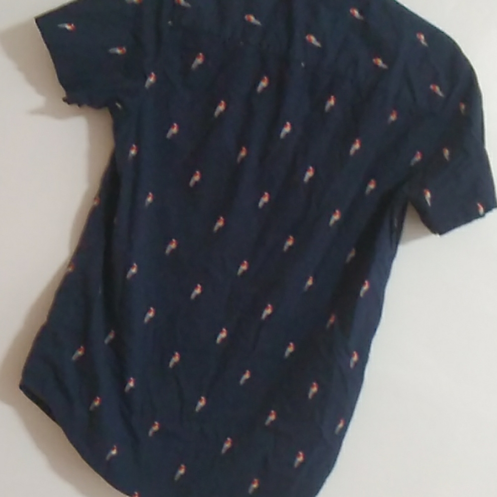 Polo - Picture 2 of 2